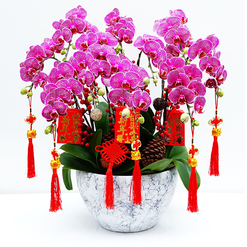 什么花卉開(kāi)花時(shí)間比較長(zhǎng)